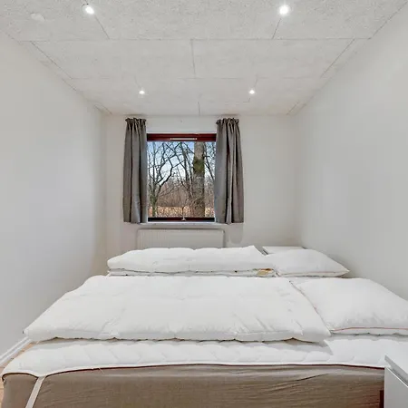Holiday home Large 30-person With Pool And Spacious Activity - 5000 Engesvang